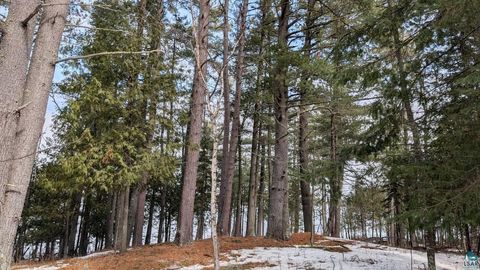 Tiny photo for 1317 N Pioneer Rd, Ely, MN 55731 (MLS # 6124232)