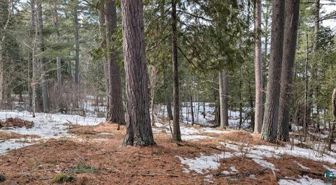 Tiny photo for 1317 N Pioneer Rd, Ely, MN 55731 (MLS # 6124232)