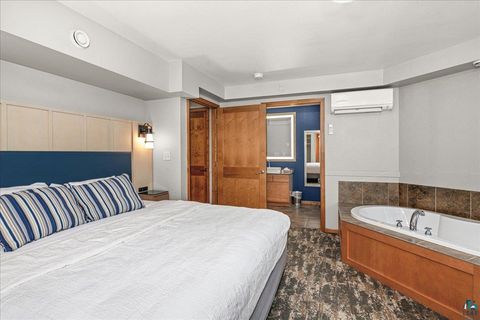 Tiny photo for 2100 Water St #W307, Duluth, MN 55812 (MLS # 6124242)