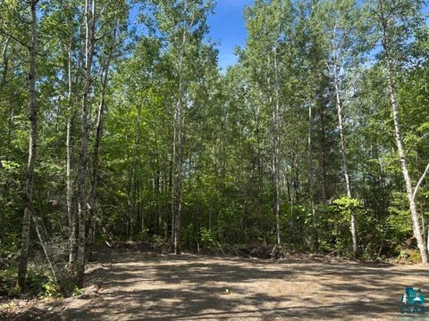 Tiny photo for TBD Powerhouse Trail, Ely, MN 55731 (MLS # 6126592)