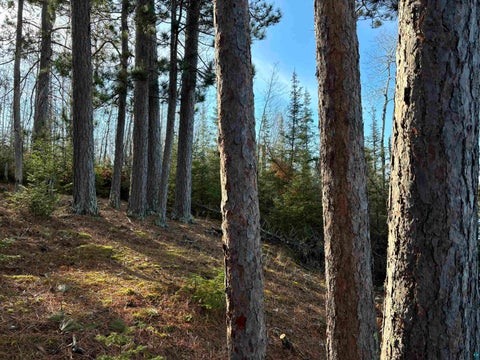 Tiny photo for TBD Powerhouse Trail, Ely, MN 55731 (MLS # 6126592)