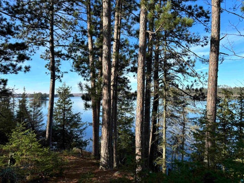 Tiny photo for TBD Powerhouse Trail, Ely, MN 55731 (MLS # 6126592)