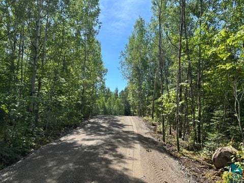 Tiny photo for TBD Powerhouse Trail, Ely, MN 55731 (MLS # 6126592)