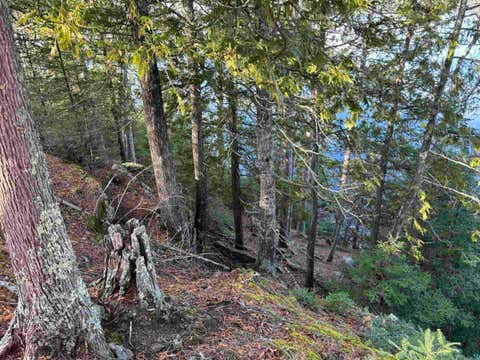 Tiny photo for TBD Powerhouse Trail, Ely, MN 55731 (MLS # 6126592)