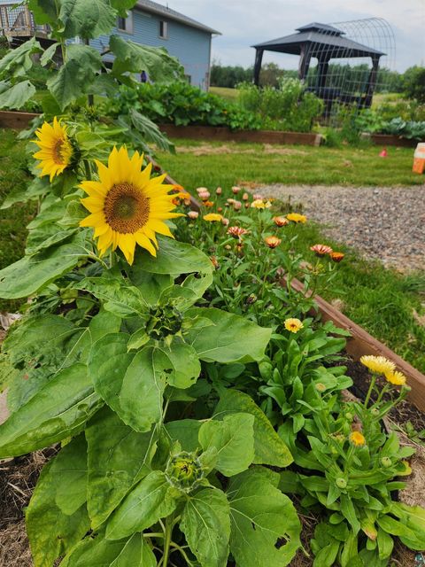 Tiny photo for 118 Meadowbrook Ln, Esko, MN 55573 (MLS # 6124177)