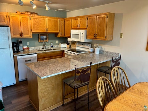 Tiny photo for 1618 Superior Shores #103, Two Harbors, MN 55616 (MLS # 6127673)