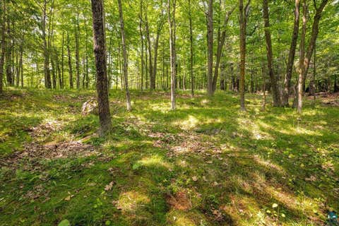 Tiny photo for 2129 Woodhaven Ln, Duluth, MN 55803 (MLS # 6126844)