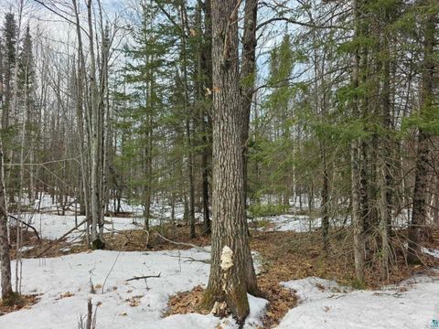 Tiny photo for xxx Stark Rd, Cloquet, MN 55720 (MLS # 6124241)