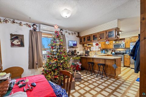Tiny photo for 401 E Sheridan St, Ely, MN 55731 (MLS # 6124235)