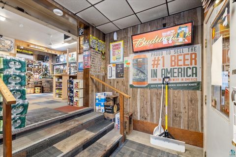 Tiny photo for 401 E Sheridan St, Ely, MN 55731 (MLS # 6124235)