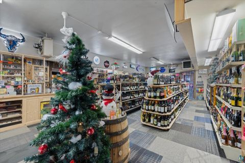 Tiny photo for 401 E Sheridan St, Ely, MN 55731 (MLS # 6124235)