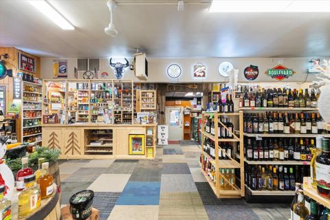 Tiny photo for 401 E Sheridan St, Ely, MN 55731 (MLS # 6124235)