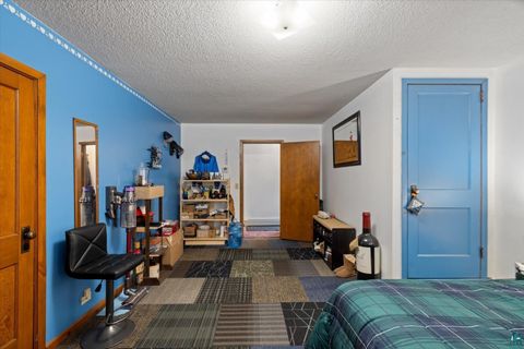 Tiny photo for 401 E Sheridan St, Ely, MN 55731 (MLS # 6124235)