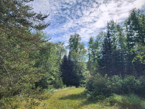 Tiny photo for 3860 Arrowhead Tr, Hovland, MN 55606 (MLS # 6127612)