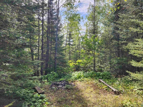 Tiny photo for 3860 Arrowhead Tr, Hovland, MN 55606 (MLS # 6127612)
