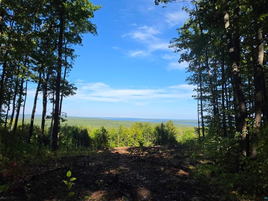 88550 TURNER RD, BAYFIELD, WI 54814 - Image 792bd74ce3de950c646695d4c3df9012/3559942156