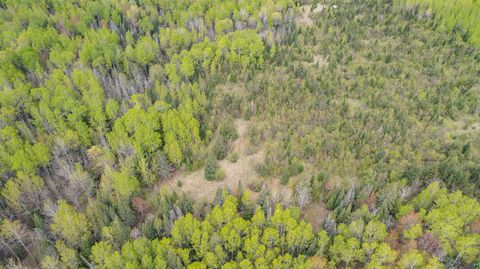 Tiny photo for 63 Homestead Rd, Duluth, MN 55804 (MLS # 6124581)