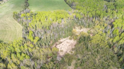 Tiny photo for 63 Homestead Rd, Duluth, MN 55804 (MLS # 6124581)