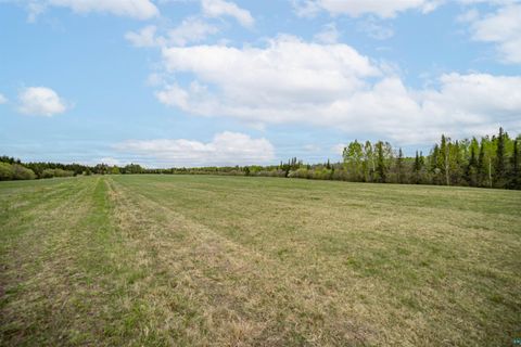 Tiny photo for 63 Homestead Rd, Duluth, MN 55804 (MLS # 6124581)