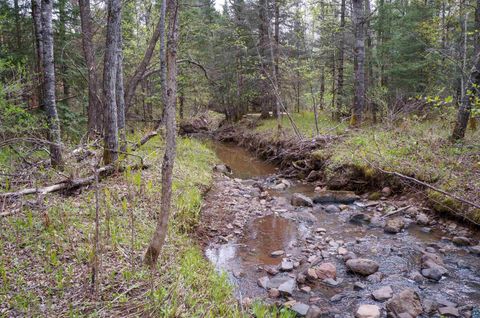 Tiny photo for 63 Homestead Rd, Duluth, MN 55804 (MLS # 6124581)