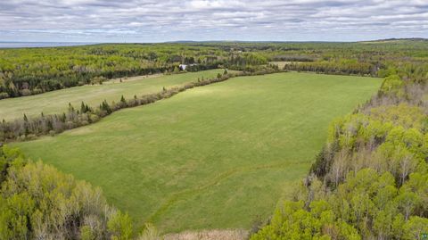 Tiny photo for 63 Homestead Rd, Duluth, MN 55804 (MLS # 6124581)
