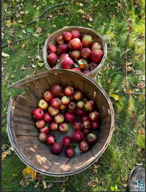 Tiny photo for 333 NE 5th Ave, Chisholm, MN 55719 (MLS # 6124258)