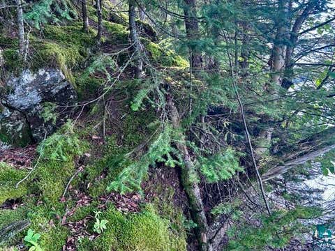 Tiny photo for XXXX Old Gunflint Trail, Grand Marais, MN 55604 (MLS # 6127185)