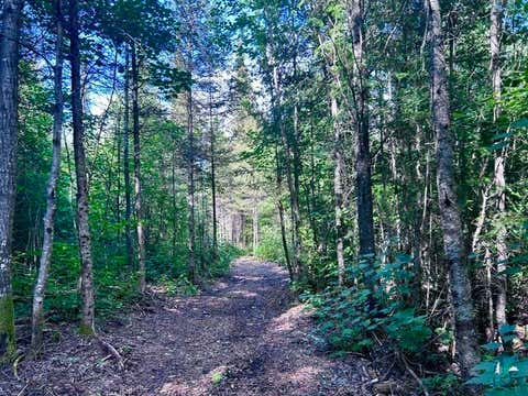 Tiny photo for XXXX Old Gunflint Trail, Grand Marais, MN 55604 (MLS # 6127185)