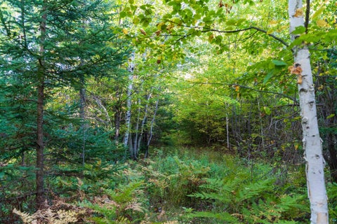 Tiny photo for 10 E White Birch Rd, Port Wing, WI 54865 (MLS # 6128312)