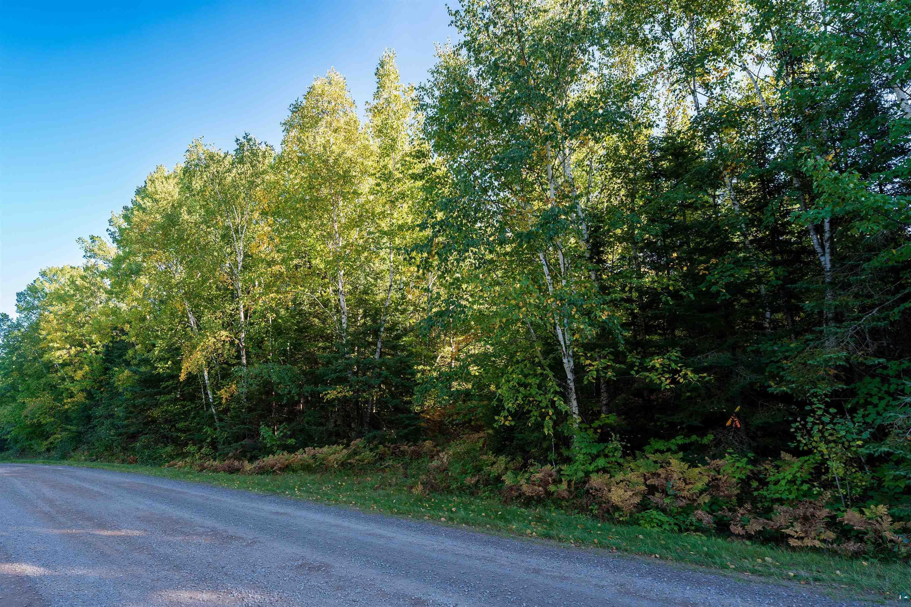 10 Acres on E White Birch Rd
