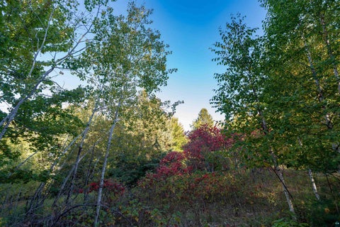 Tiny photo for 10 E White Birch Rd, Port Wing, WI 54865 (MLS # 6128312)