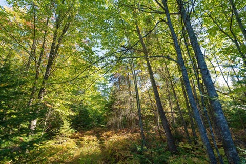 Tiny photo for 10 E White Birch Rd, Port Wing, WI 54865 (MLS # 6128312)