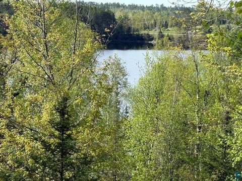 Tiny photo for TBD Moose Creek Tr, Ely, MN 55731 (MLS # 6126182)
