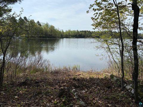 Photo of TBD Moose Creek Tr, Ely, MN 55731 (MLS # 6126182)