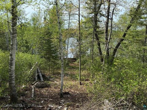 Tiny photo for TBD Moose Creek Tr, Ely, MN 55731 (MLS # 6126182)