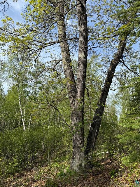 Tiny photo for TBD Moose Creek Tr, Ely, MN 55731 (MLS # 6126182)