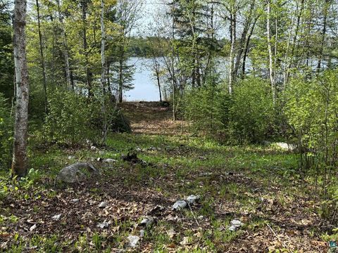 Tiny photo for TBD Moose Creek Tr, Ely, MN 55731 (MLS # 6126182)