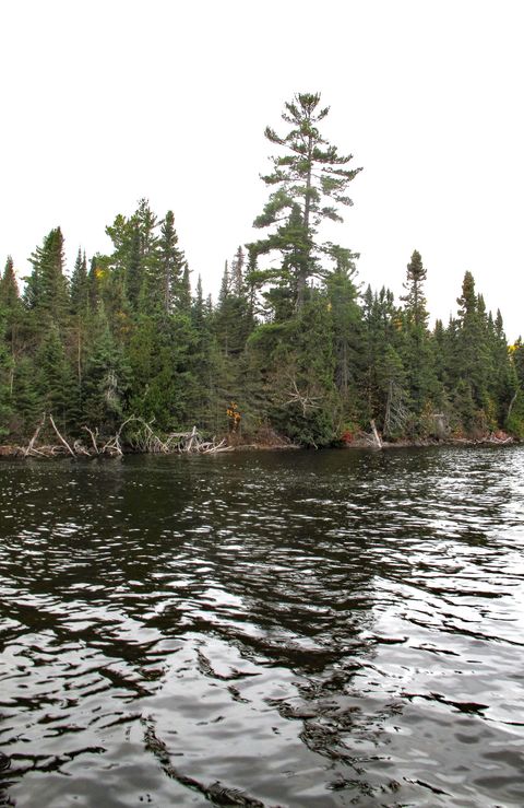 Tiny photo for 23 Fullerton Rd, Hovland, MN 55606 (MLS # 6122627)