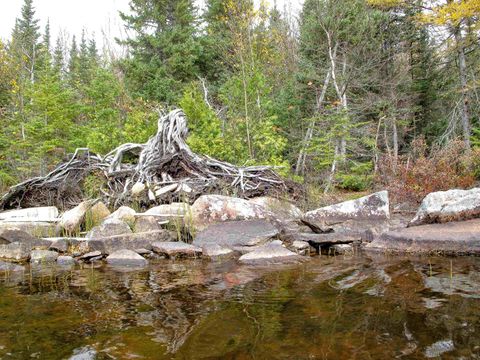 Tiny photo for 23 Fullerton Rd, Hovland, MN 55606 (MLS # 6122627)