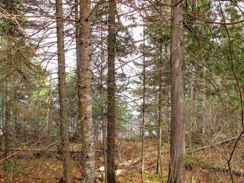 Tiny photo for 23 Fullerton Rd, Hovland, MN 55606 (MLS # 6122627)