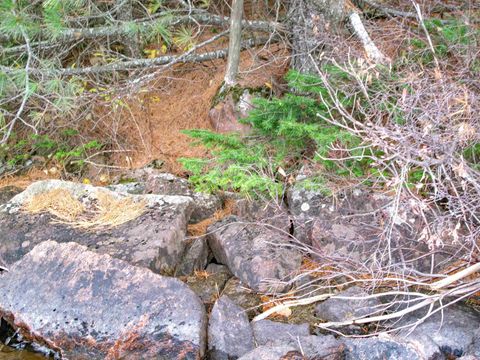 Tiny photo for 23 Fullerton Rd, Hovland, MN 55606 (MLS # 6122627)