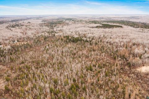Tiny photo for 6081 Murphy Lake Rd, Brimson, MN 55602 (MLS # 6125053)