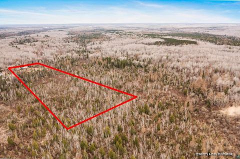 Tiny photo for 6081 Murphy Lake Rd, Brimson, MN 55602 (MLS # 6125053)