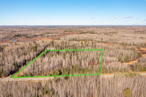 Tiny photo for TBD Highway 1, Cook, MN 55723 (MLS # 6122801)