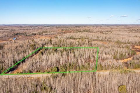 Tiny photo for TBD Highway 1, Cook, MN 55723 (MLS # 6122801)