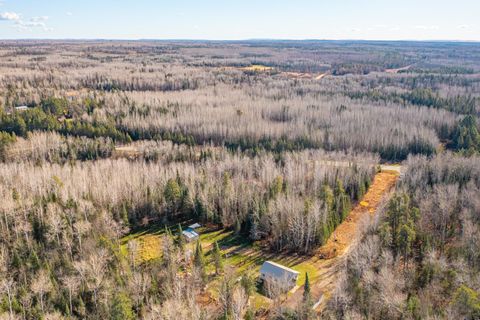 Tiny photo for TBD Highway 1, Cook, MN 55723 (MLS # 6122801)