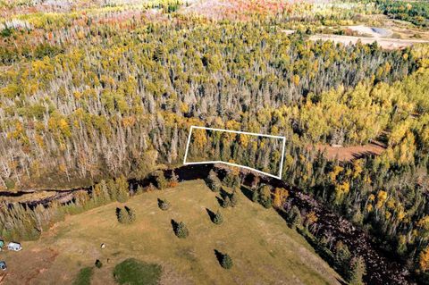 Tiny photo for TBD American Blvd, Finland, MN 55603 (MLS # 6123190)