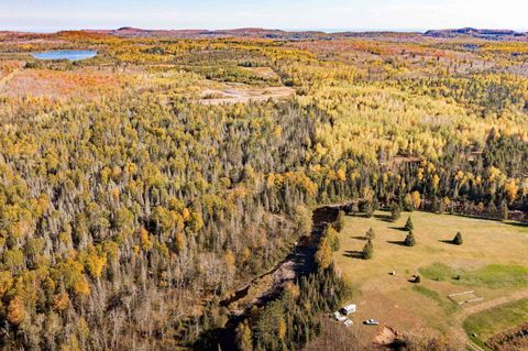 Tiny photo for TBD American Blvd, Finland, MN 55603 (MLS # 6123190)