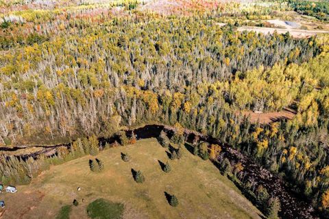 Tiny photo for TBD American Blvd, Finland, MN 55603 (MLS # 6123190)