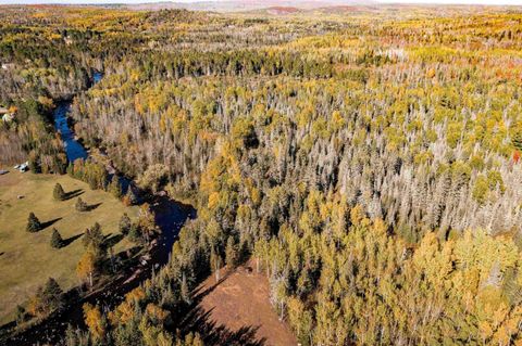 Tiny photo for TBD American Blvd, Finland, MN 55603 (MLS # 6123190)